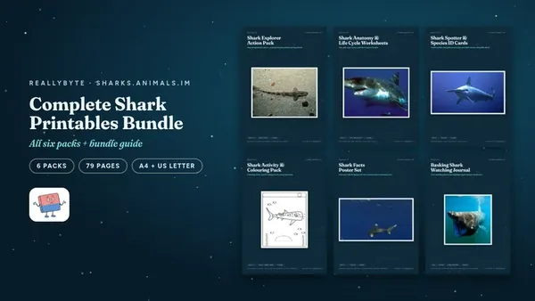 Cover of the Sharks printables bundle from sharks.animals.im