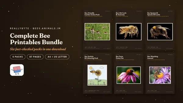 Cover of the Bees printables bundle from bees.animals.im